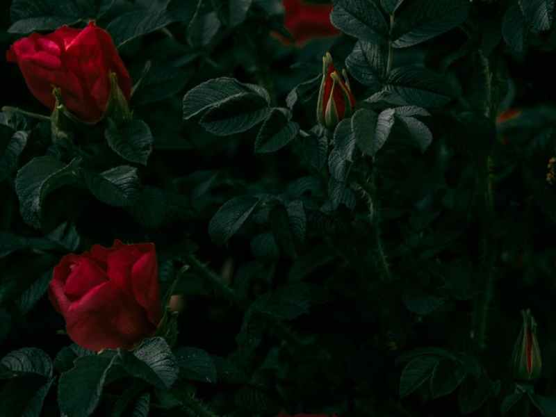 IT IS DARK IN&nbsp;HERE